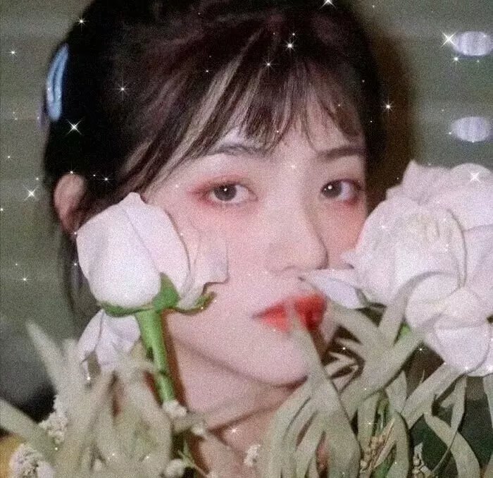 少女捜查网