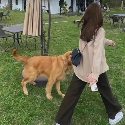红蕃女谍